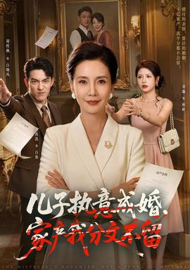 儿子执意成婚，家产我分文不留(全集)